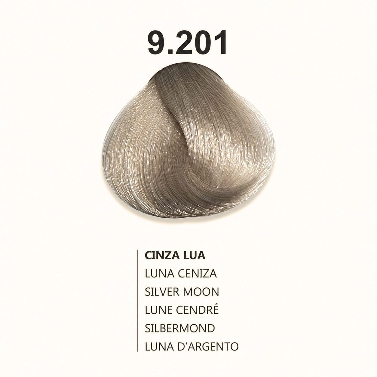 Crema Colorante Professionale Violet Keratin - Luxvenya Beauty